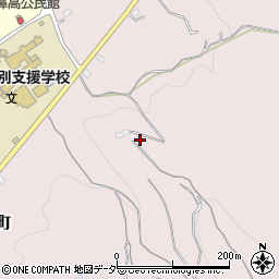 群馬県高崎市乗附町3817周辺の地図