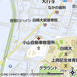 栃木県小山市大行寺1036周辺の地図