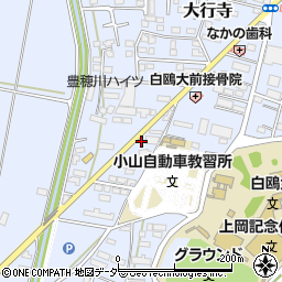 栃木県小山市大行寺981周辺の地図