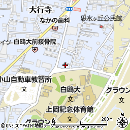 栃木県小山市大行寺1057周辺の地図