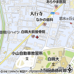 栃木県小山市大行寺1029周辺の地図