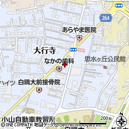 栃木県小山市大行寺1026-5周辺の地図