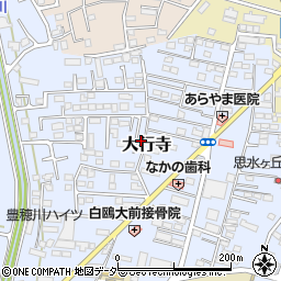 栃木県小山市大行寺998周辺の地図