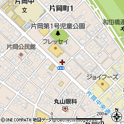 関根薬局周辺の地図