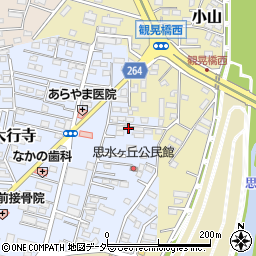 栃木県小山市大行寺1087周辺の地図