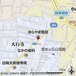 栃木県小山市大行寺1069-1周辺の地図