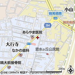 栃木県小山市大行寺1067-10周辺の地図