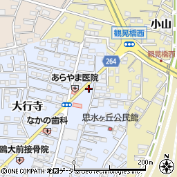 栃木県小山市大行寺1067-5周辺の地図