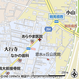 栃木県小山市大行寺1067-2周辺の地図