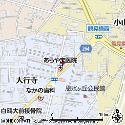 栃木県小山市大行寺1069-3周辺の地図