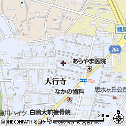 栃木県小山市大行寺1019周辺の地図