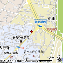 栃木県小山市大行寺1079周辺の地図