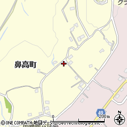 群馬県高崎市鼻高町1745周辺の地図