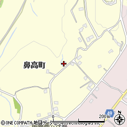 群馬県高崎市鼻高町1746周辺の地図