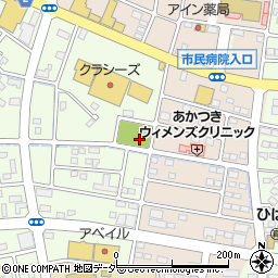 伊勢崎市薬師公園周辺の地図