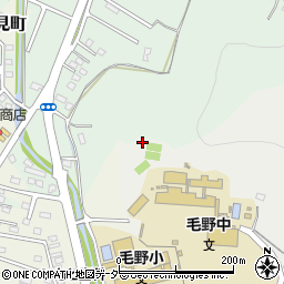 栃木県足利市大久保町51周辺の地図