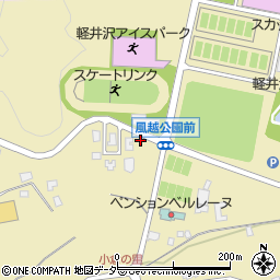 長野県北佐久郡軽井沢町発地1217周辺の地図