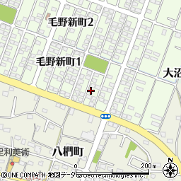 〒326-0016 栃木県足利市毛野新町の地図