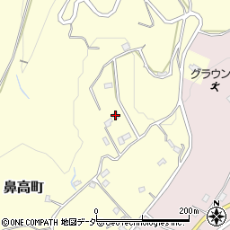 群馬県高崎市鼻高町1927-5周辺の地図