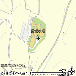 群馬県高崎市鼻高町1798周辺の地図