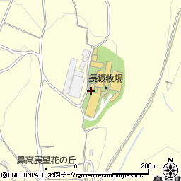 群馬県高崎市鼻高町1800周辺の地図