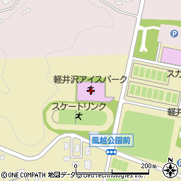 軽井沢アイスパーク周辺の地図