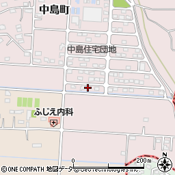 群馬県高崎市中島町135-6周辺の地図