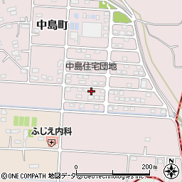 群馬県高崎市中島町135-21周辺の地図