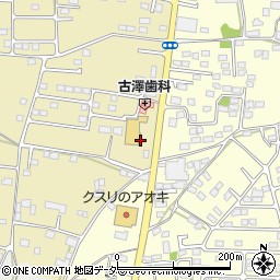 栃木県栃木市大平町新881周辺の地図