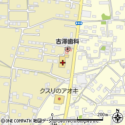栃木県栃木市大平町新880周辺の地図