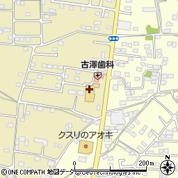 栃木県栃木市大平町新878周辺の地図