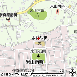 栃木県佐野市米山南町42-3周辺の地図