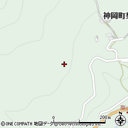 岐阜県飛騨市神岡町梨ケ根207周辺の地図