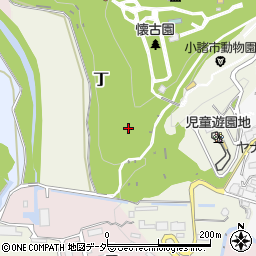 長野県小諸市丁周辺の地図