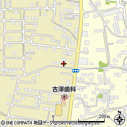 栃木県栃木市大平町新981周辺の地図