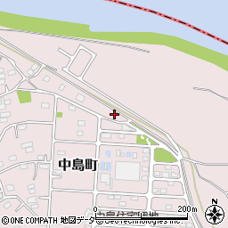 群馬県高崎市中島町270-10周辺の地図