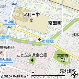 栃木県足利市常盤町74周辺の地図
