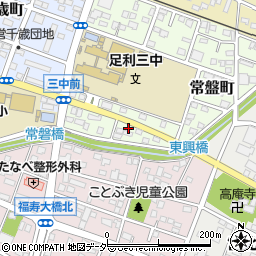 栃木県足利市常盤町75-11周辺の地図