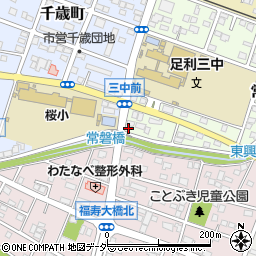 栃木県足利市常盤町85周辺の地図