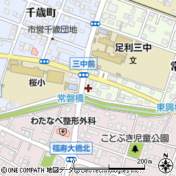 栃木県足利市常盤町84-4周辺の地図