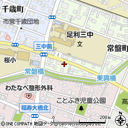 栃木県足利市常盤町81周辺の地図