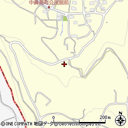 群馬県高崎市鼻高町1119周辺の地図