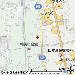 寺島種苗店周辺の地図
