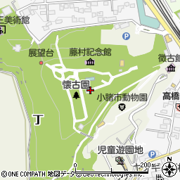 長野県小諸市丁314周辺の地図