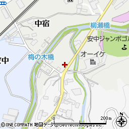 群馬県安中市中宿1184-11周辺の地図