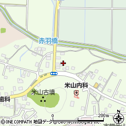 栃木県佐野市犬伏新町811-10周辺の地図