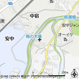 群馬県安中市中宿1189-5周辺の地図