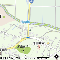 栃木県佐野市犬伏新町811-6周辺の地図