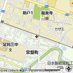 栃木県足利市常盤町20周辺の地図