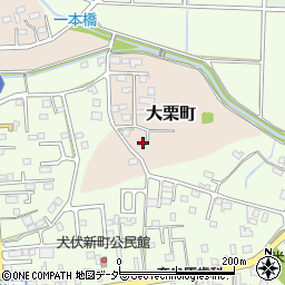 栃木県佐野市大栗町9-4周辺の地図